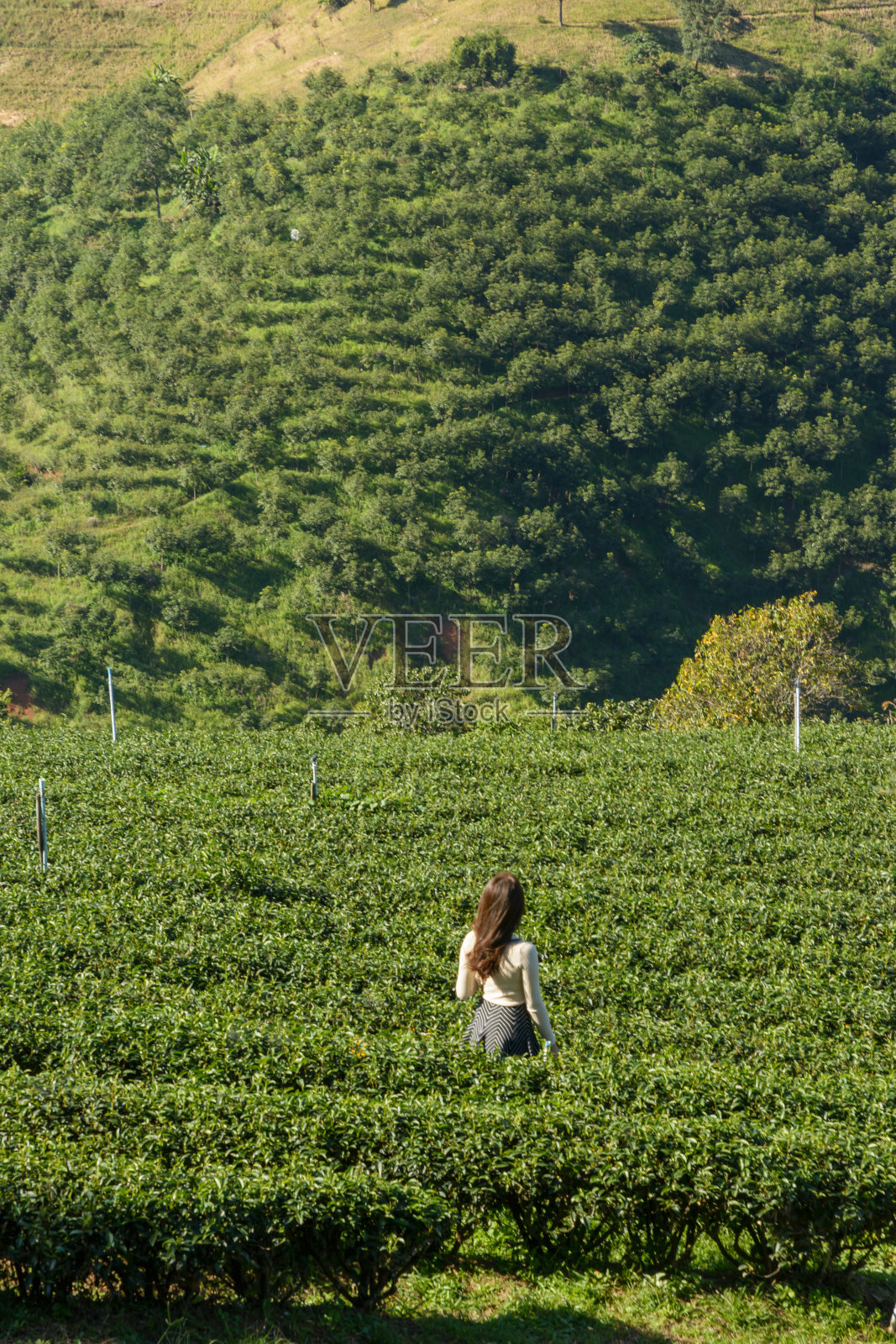 女孩在农场照片摄影图片