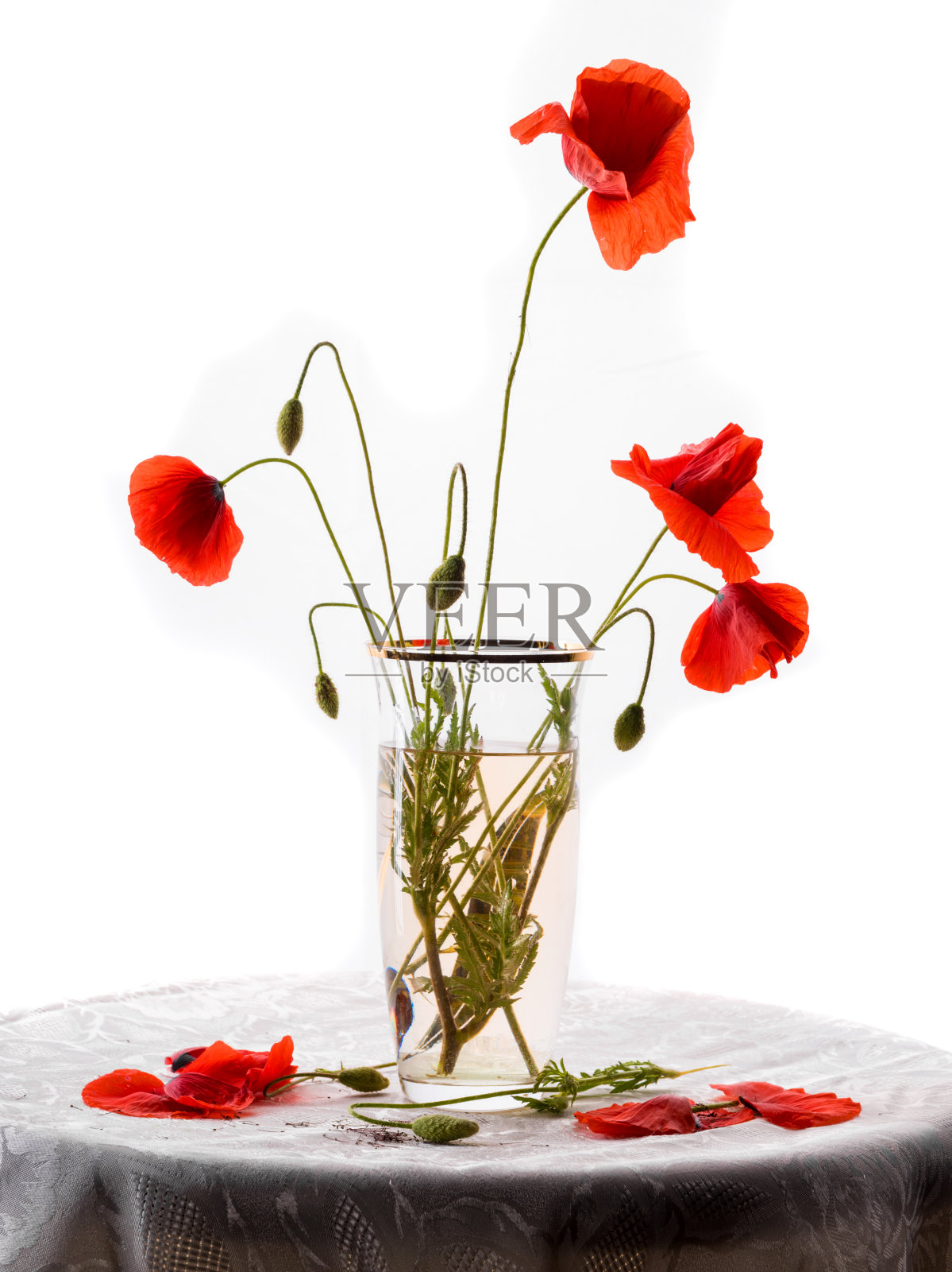 花瓶里放一束罂粟花照片摄影图片