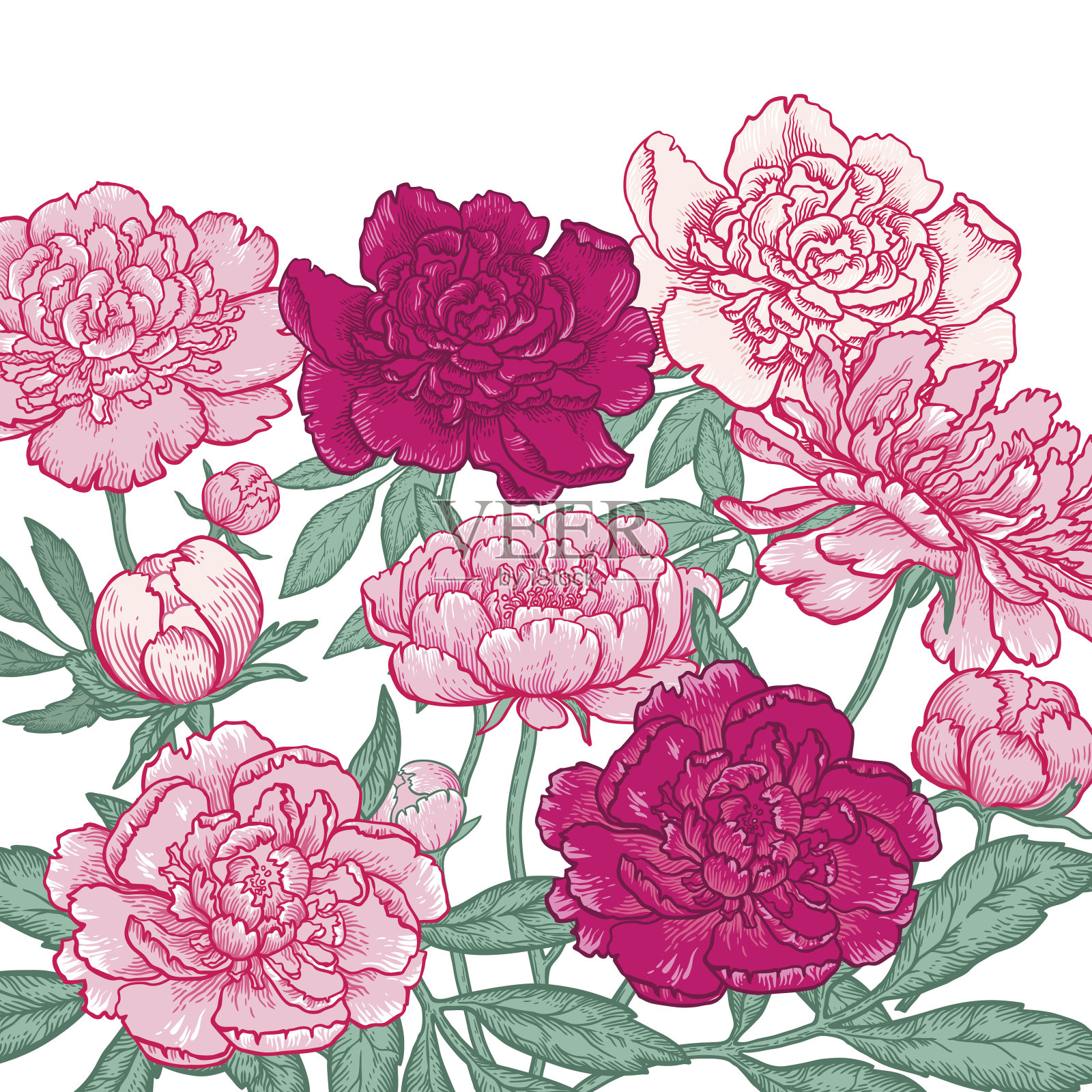 无缝隙花纹背景插画图片素材