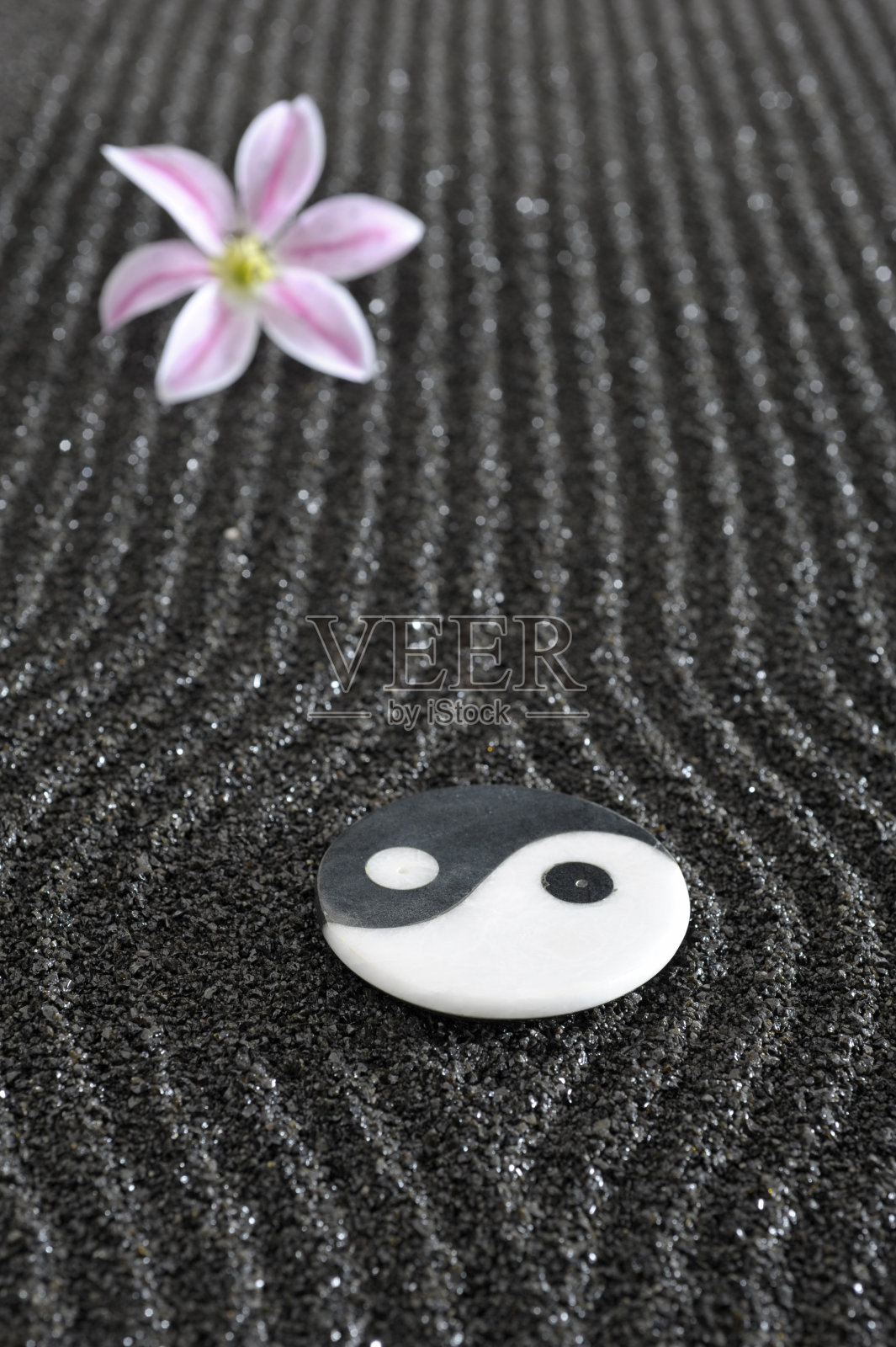 日本禅宗花园照片摄影图片