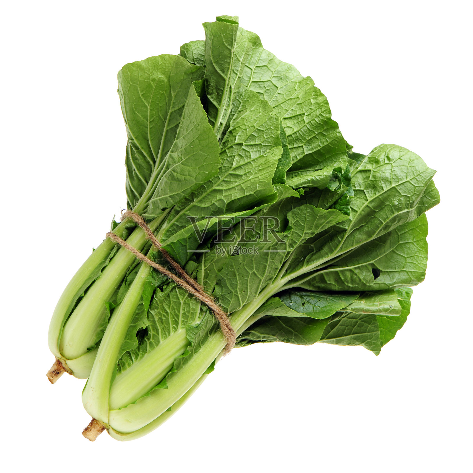 小的白菜照片摄影图片