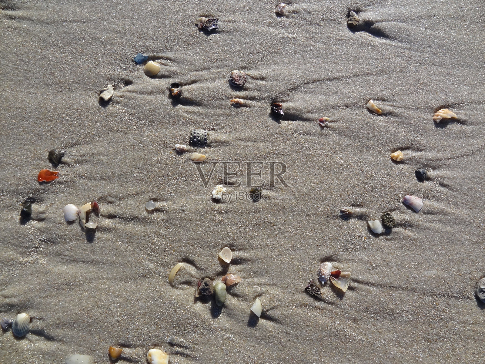 潮湿沙滩上贝壳碎片的抽象背景。照片摄影图片