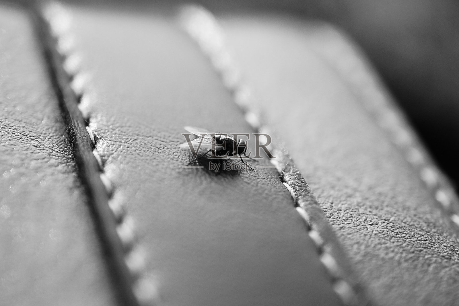 的皮包照片摄影图片