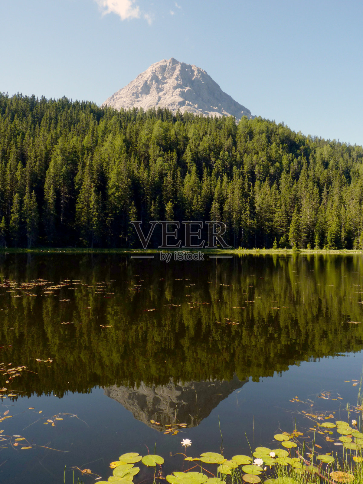 皮兹载我们到黑海照片摄影图片