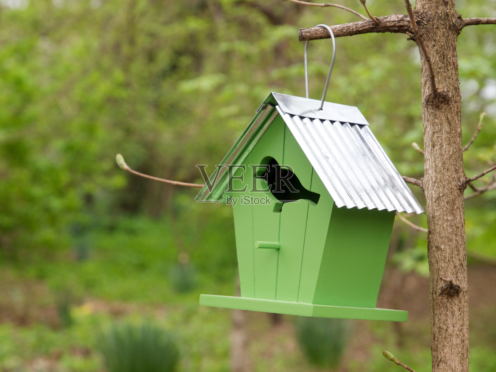 绿鸟的房子照片摄影图片
