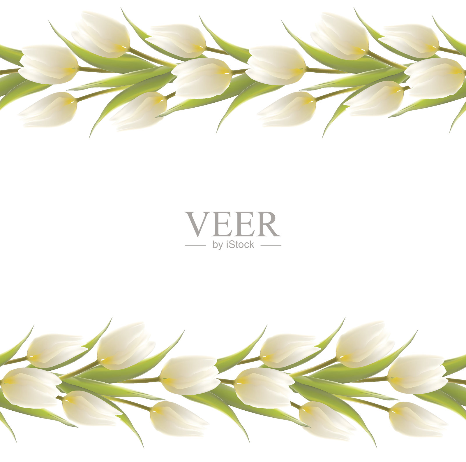 郁金香花束为您的卡片设计。插画图片素材