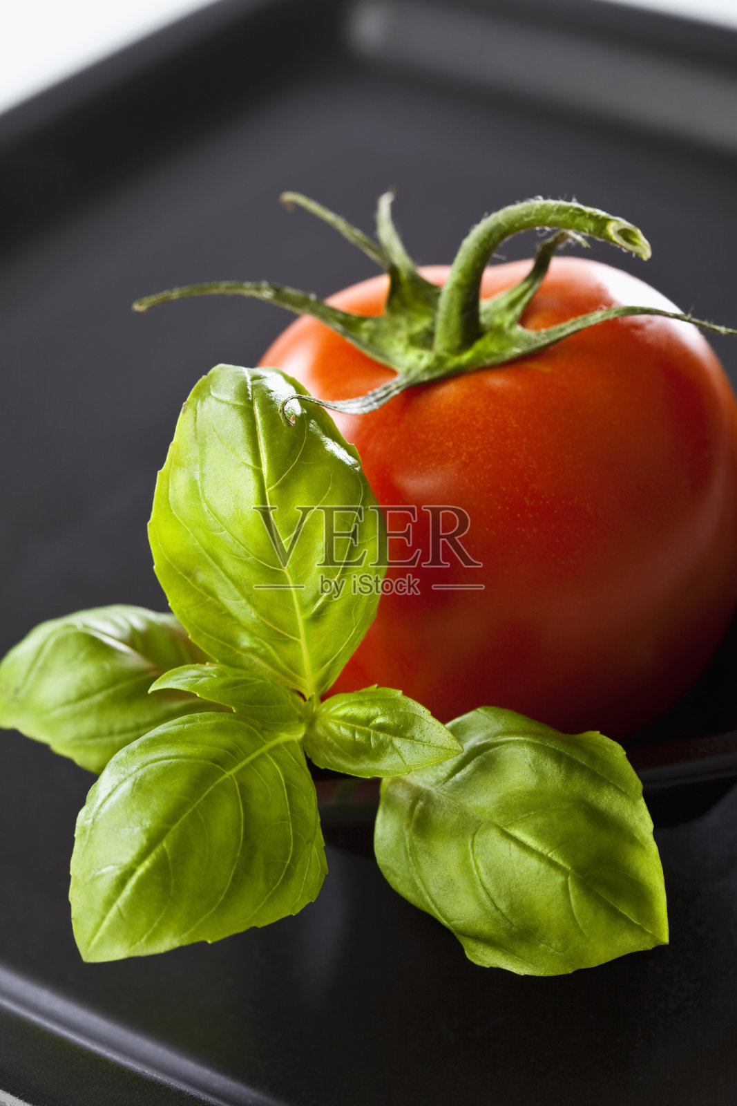 黑色托盘上的番茄和罗勒叶,特写照片摄影图片