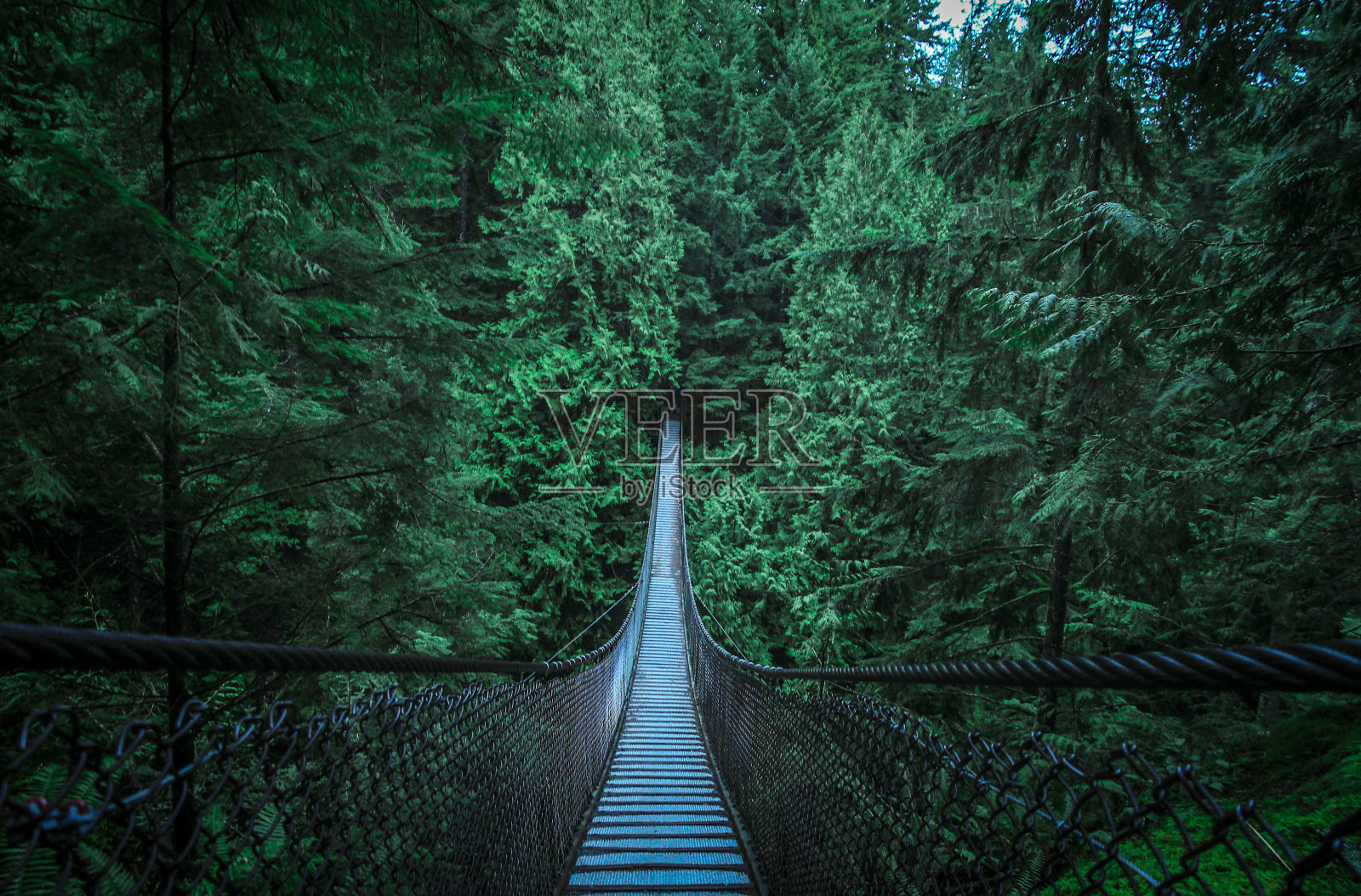 吊桥照片摄影图片