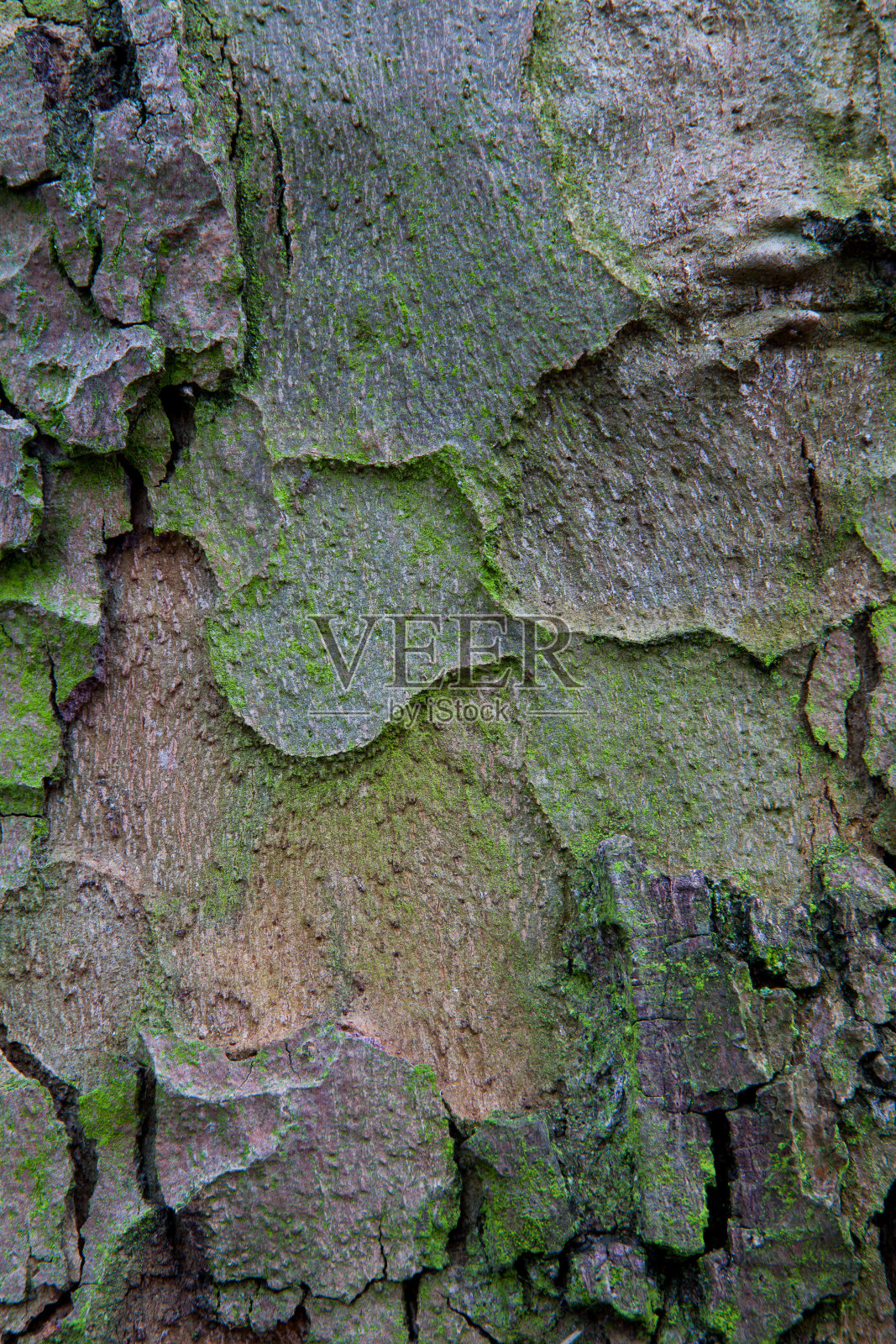 木板背景照片摄影图片