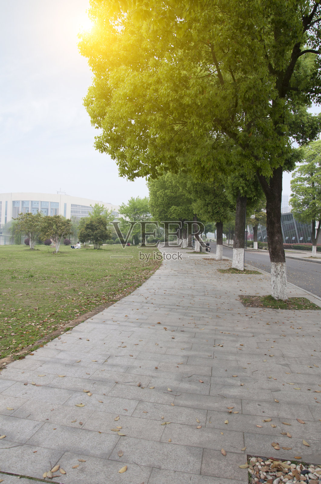 人行道上照片摄影图片