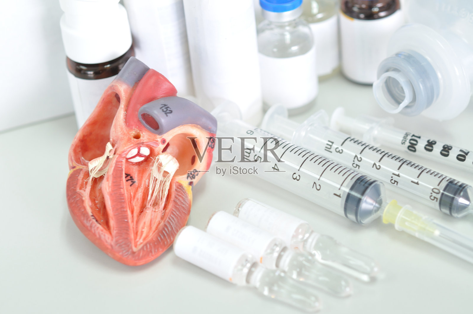 心脏模型和医学实验室照片摄影图片