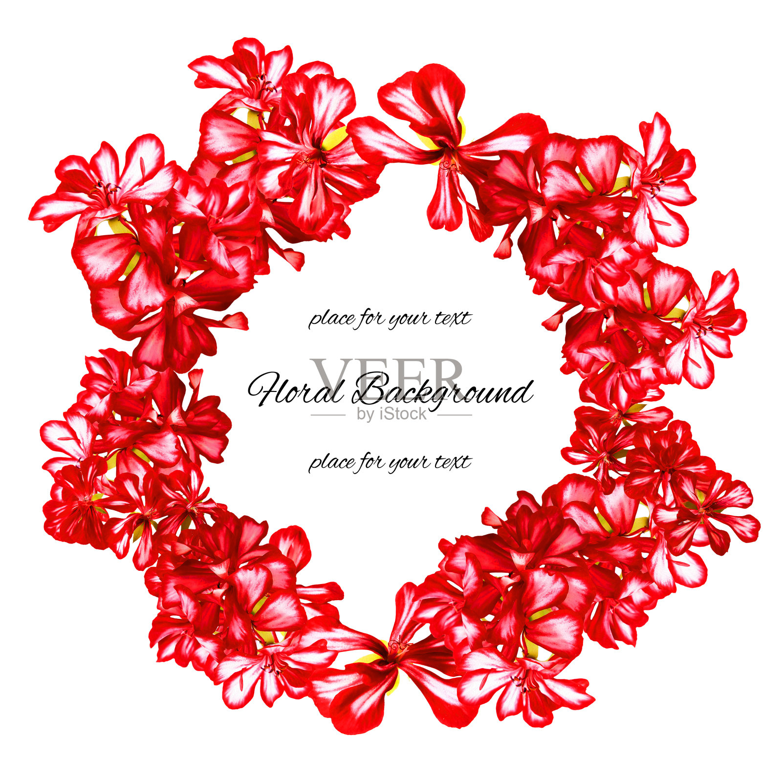 背景纹理由天竺葵和文本的地方照片摄影图片