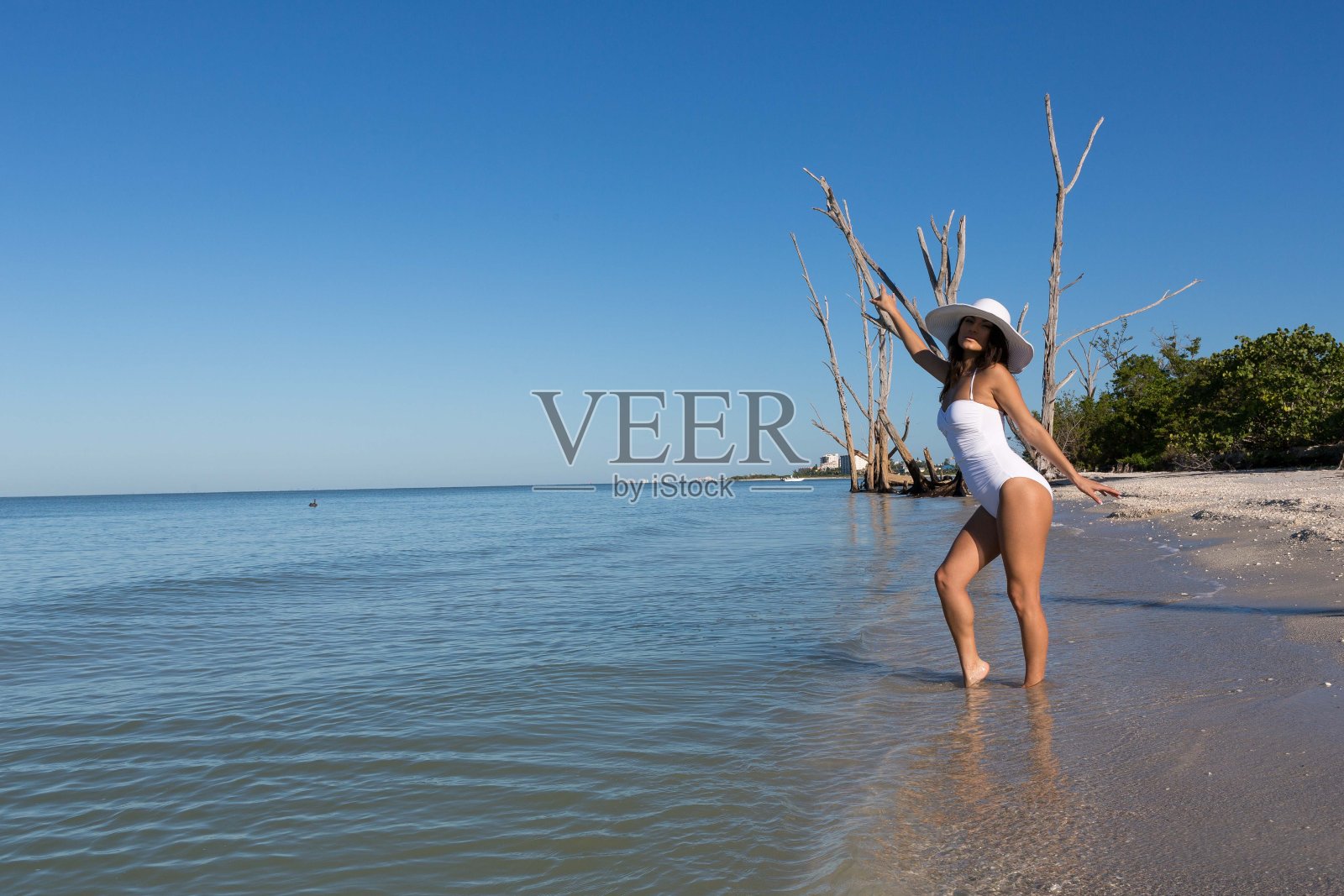 在海滩上照片摄影图片