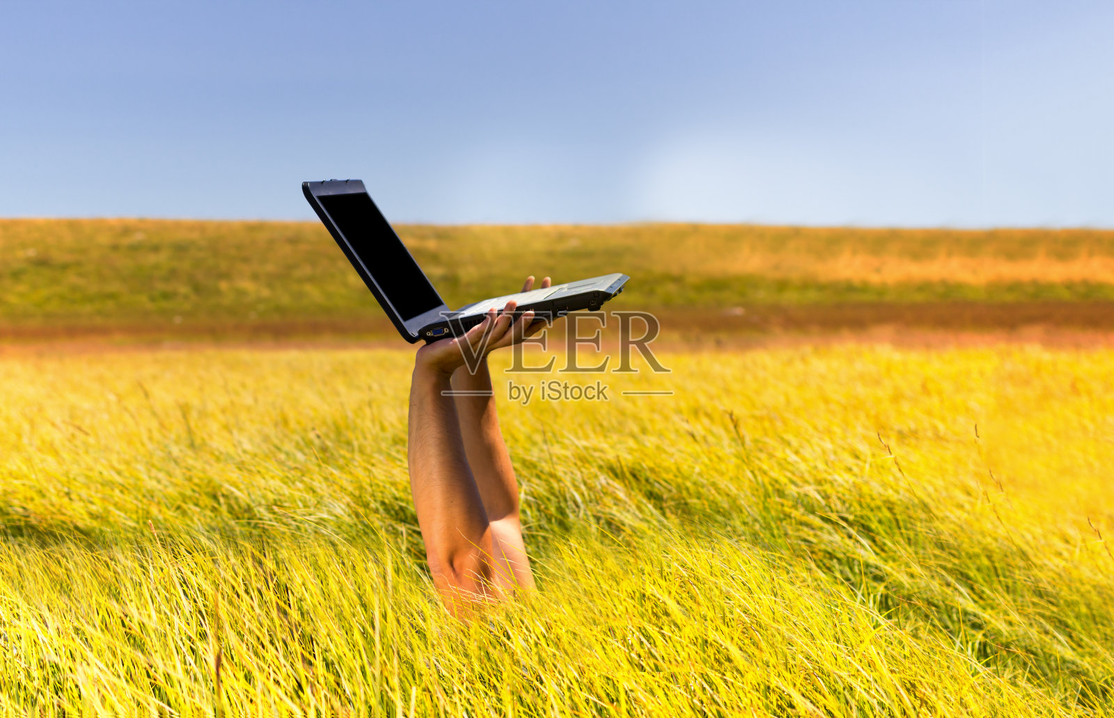 男人在草地上手持笔记本电脑照片摄影图片