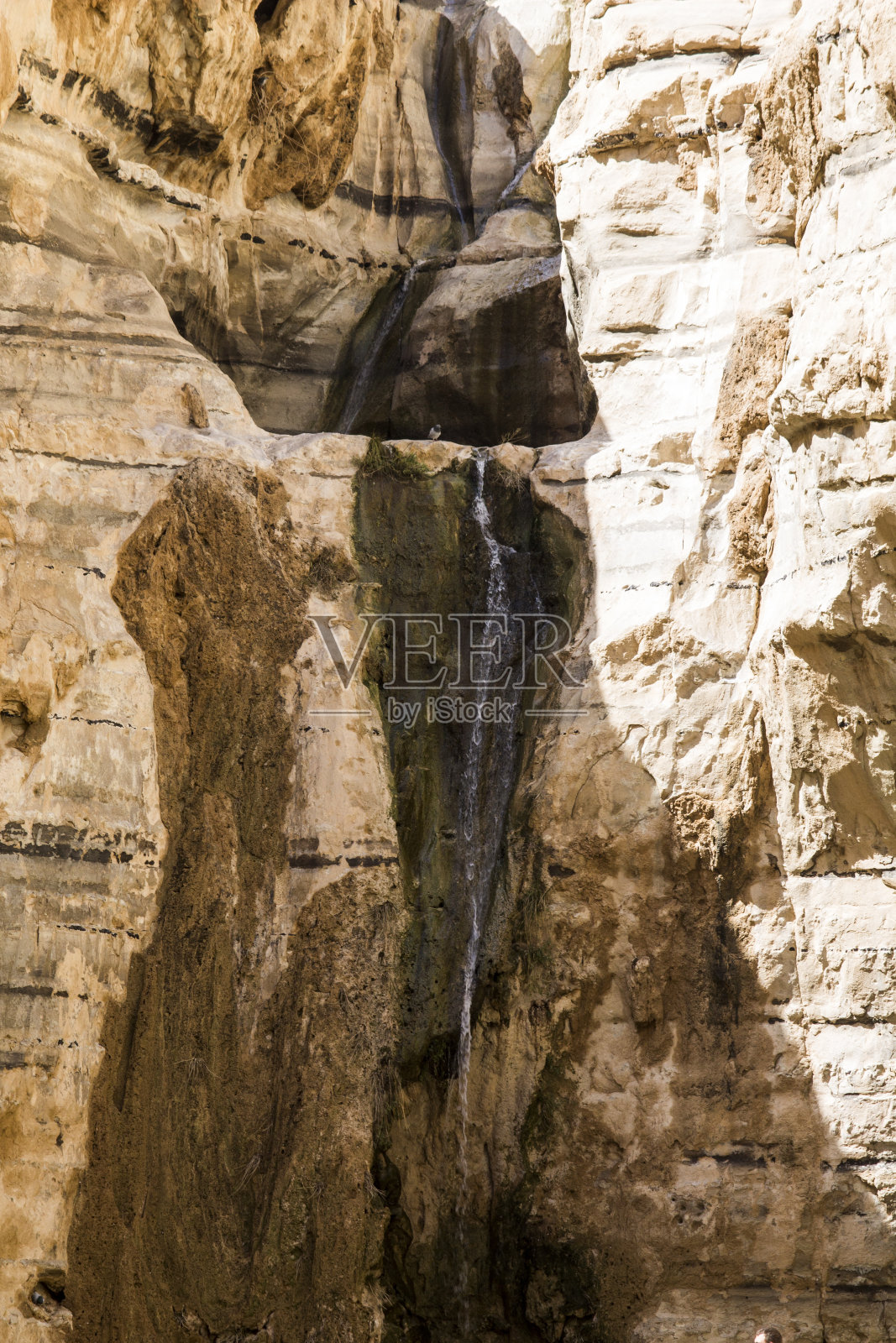内盖夫瀑布照片摄影图片
