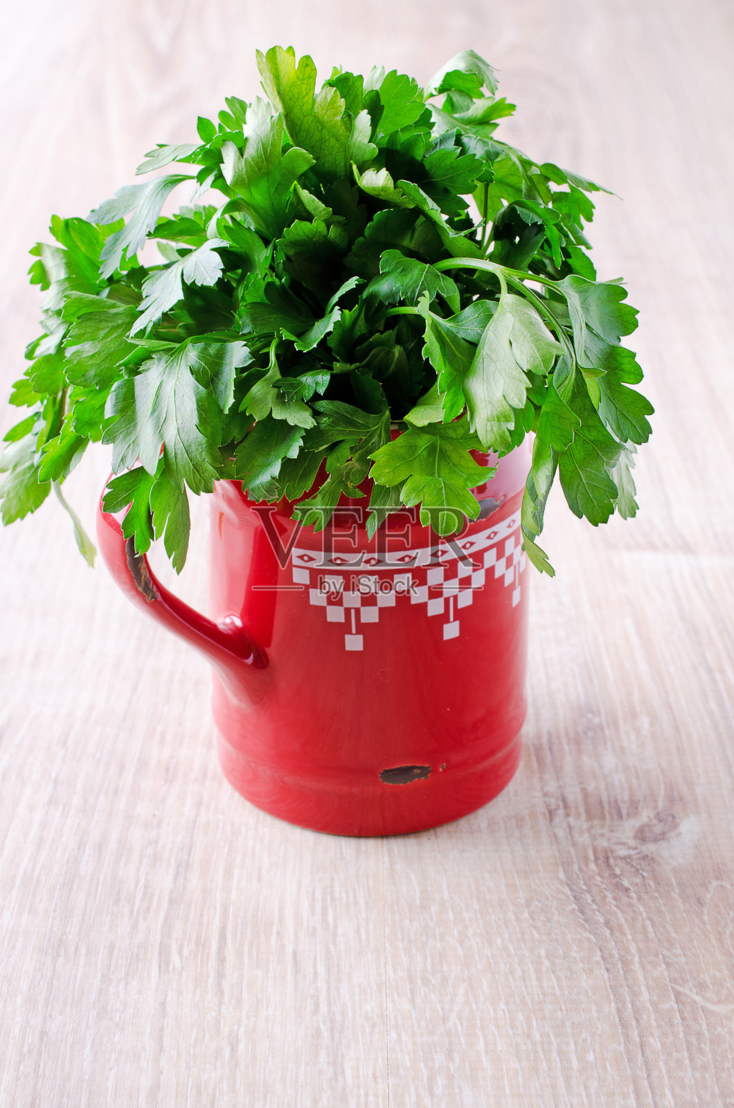 欧芹照片摄影图片