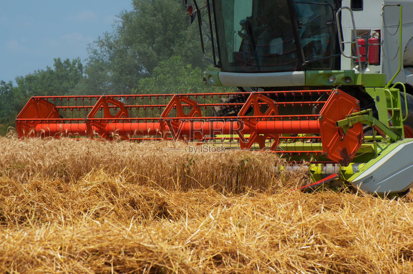 联合收割机。收割小麦。收割者在庄稼成熟时收割庄稼。照片摄影图片