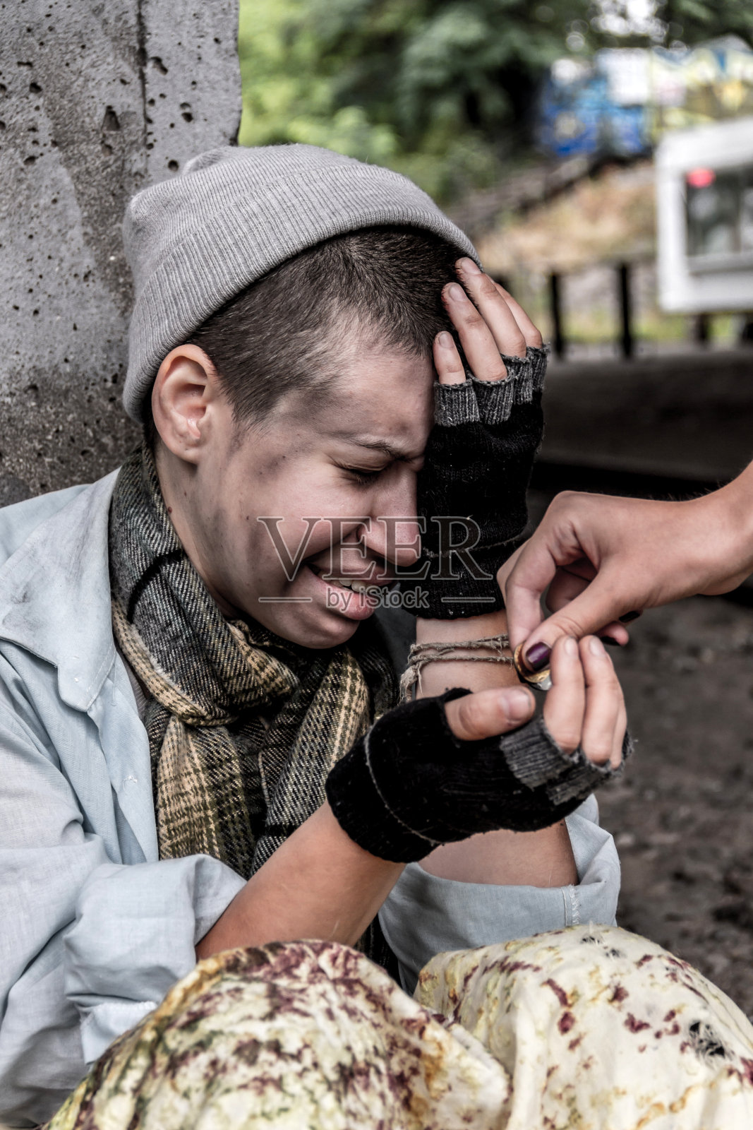 获取食物资金照片摄影图片