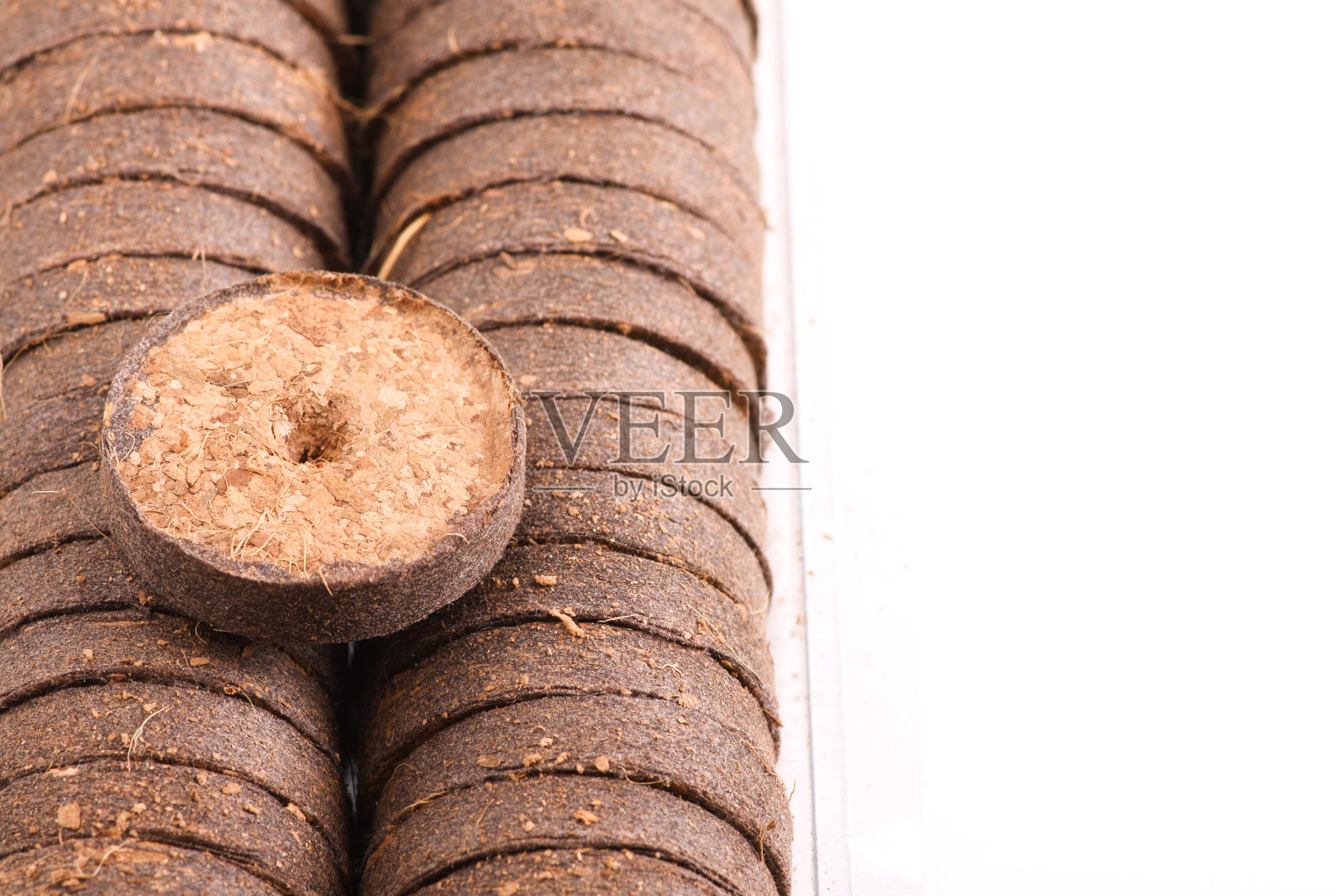 种植椰子片照片摄影图片