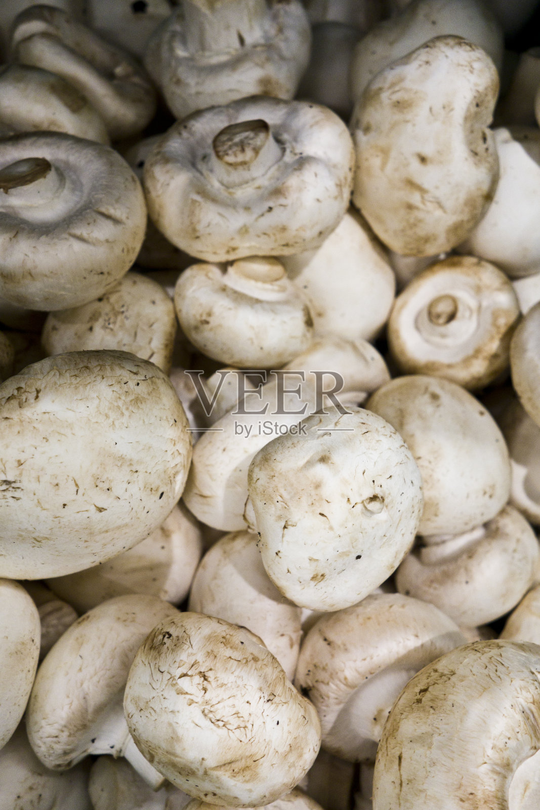 在超市收集蘑菇照片摄影图片