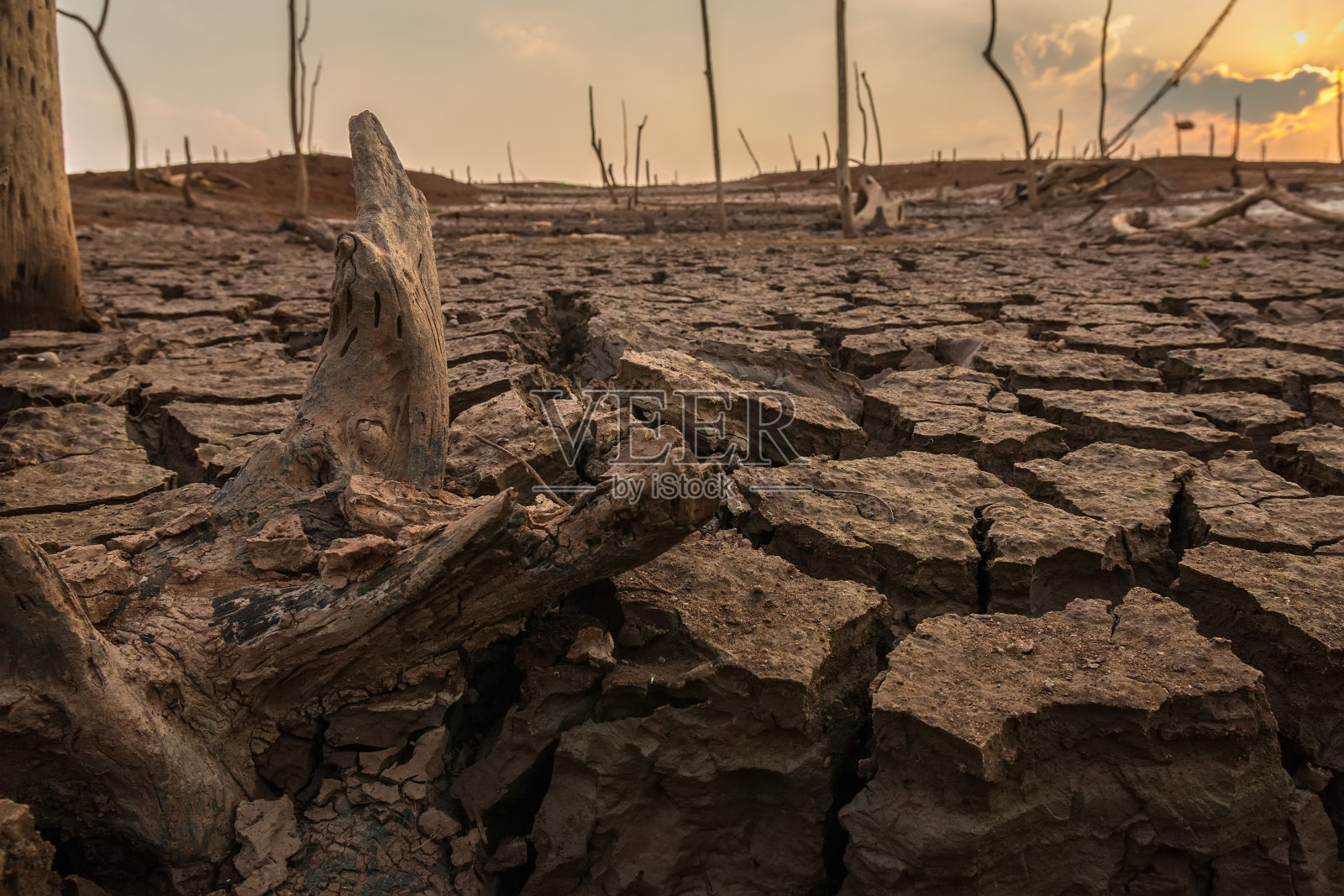 农村地区土地的裂缝照片摄影图片