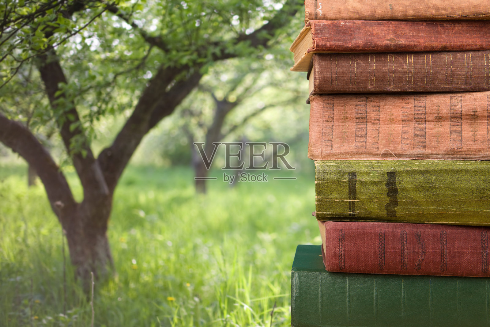 在自然背景上堆积的书籍照片摄影图片