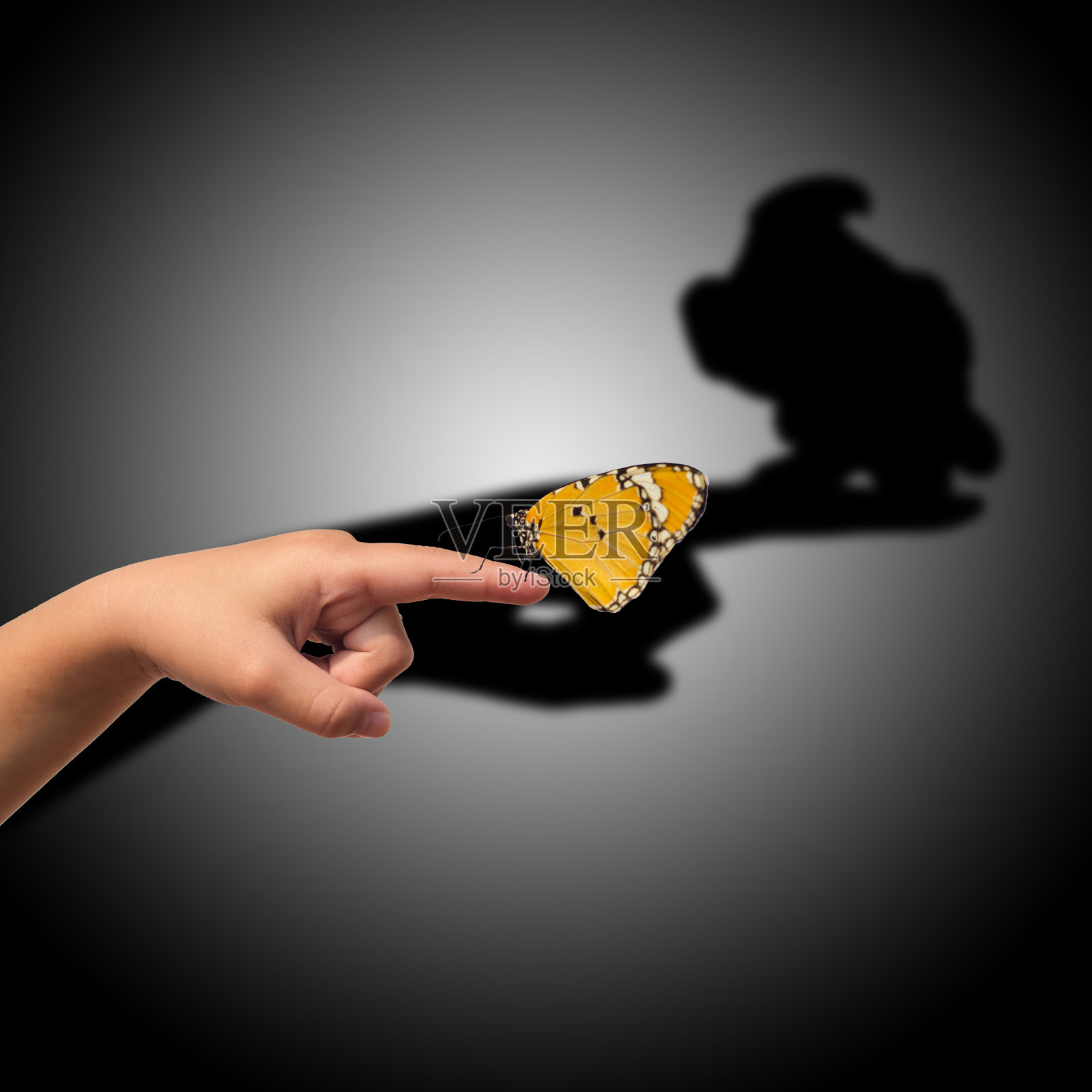 手指上的蝴蝶,却有鹰的影子照片摄影图片