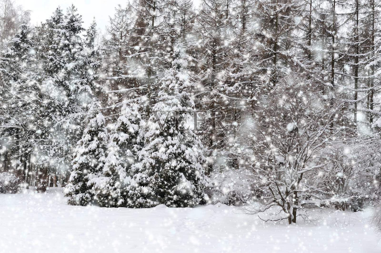 冬天的风景照片摄影图片