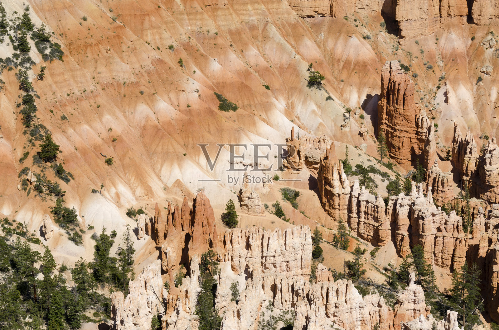 布莱斯峡谷国家公园照片摄影图片