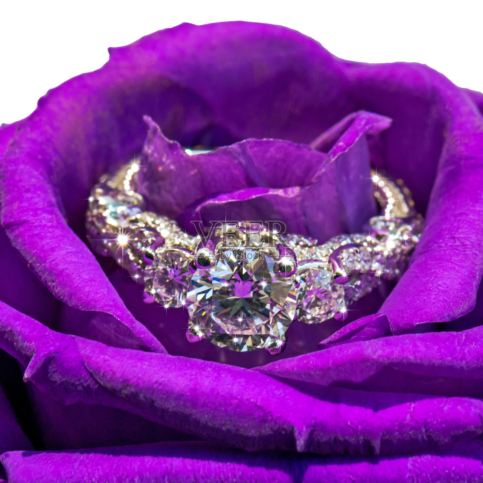 环照片摄影图片