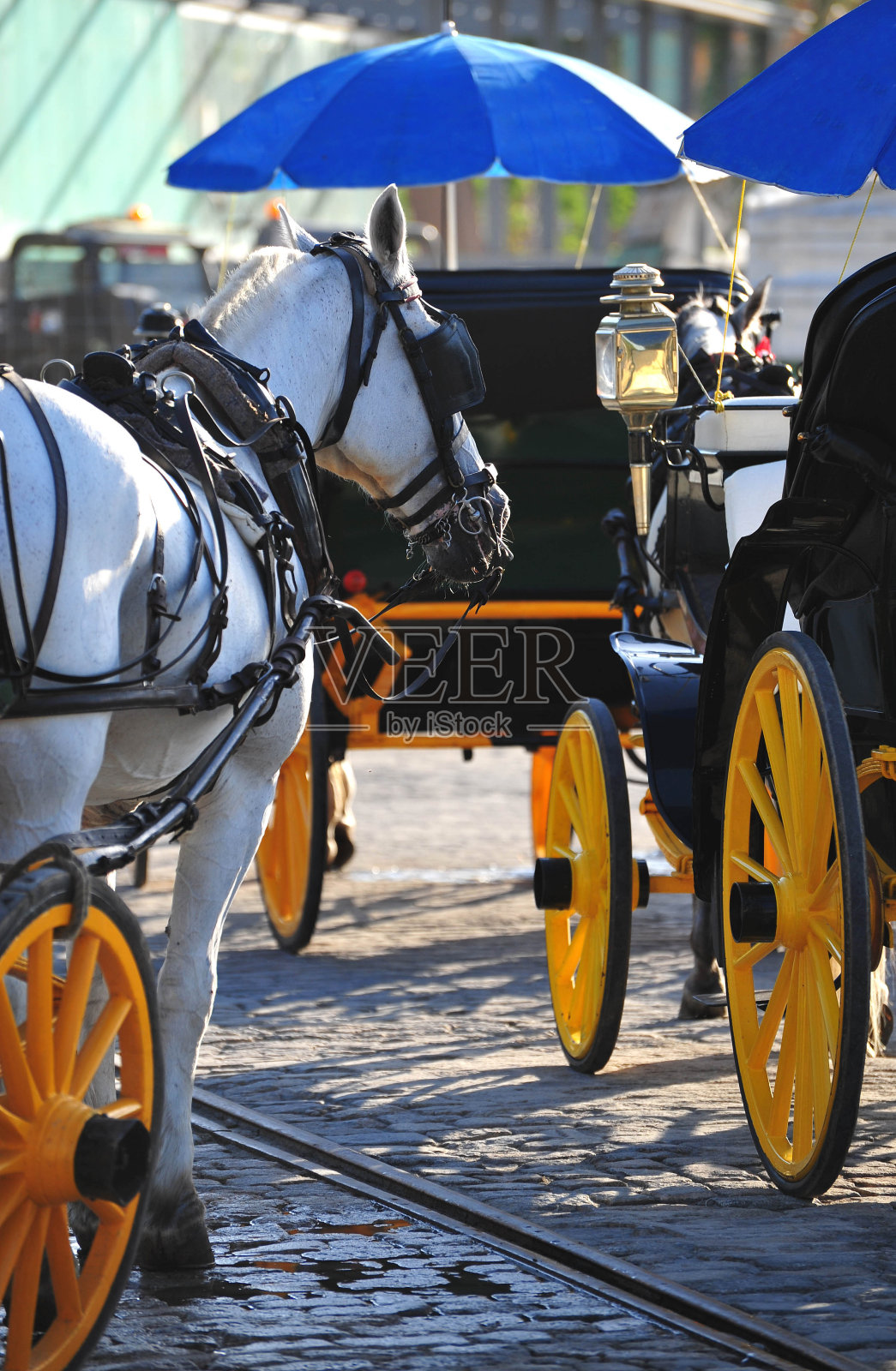 等待交易,马拉加照片摄影图片