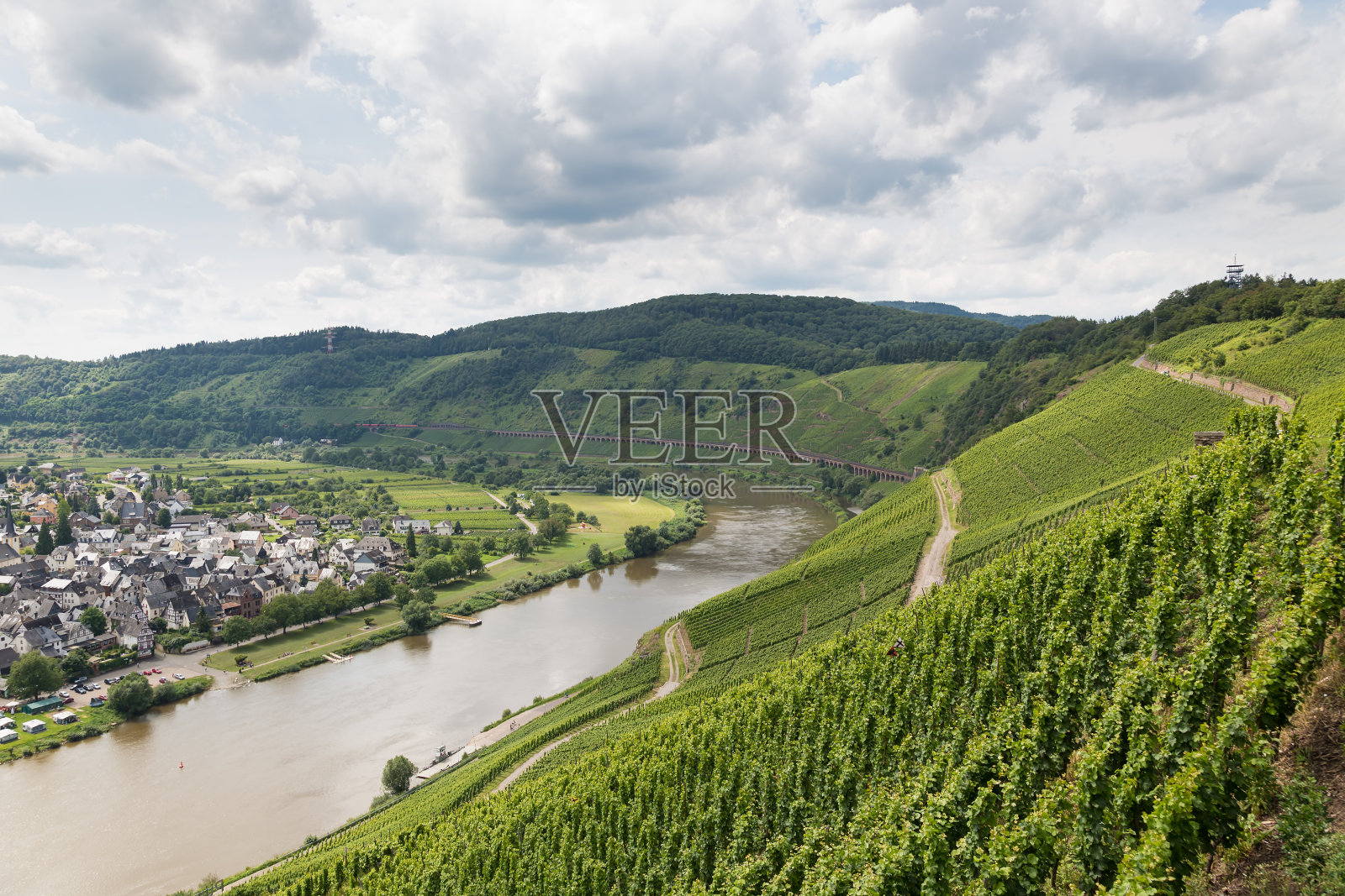 德国庞德里奇附近摩泽尔河沿岸的葡萄园照片摄影图片