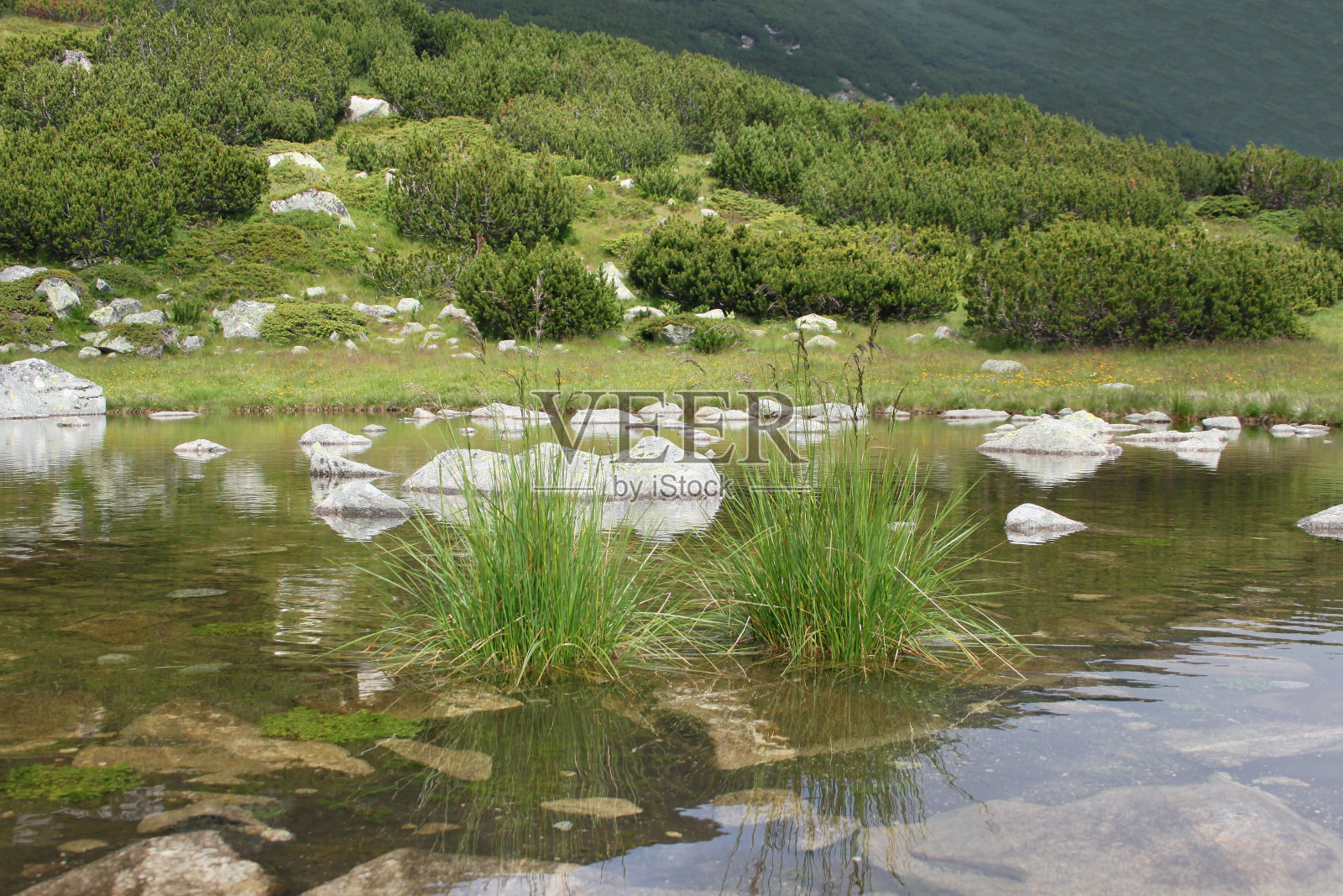 风景如画的湖泊照片摄影图片