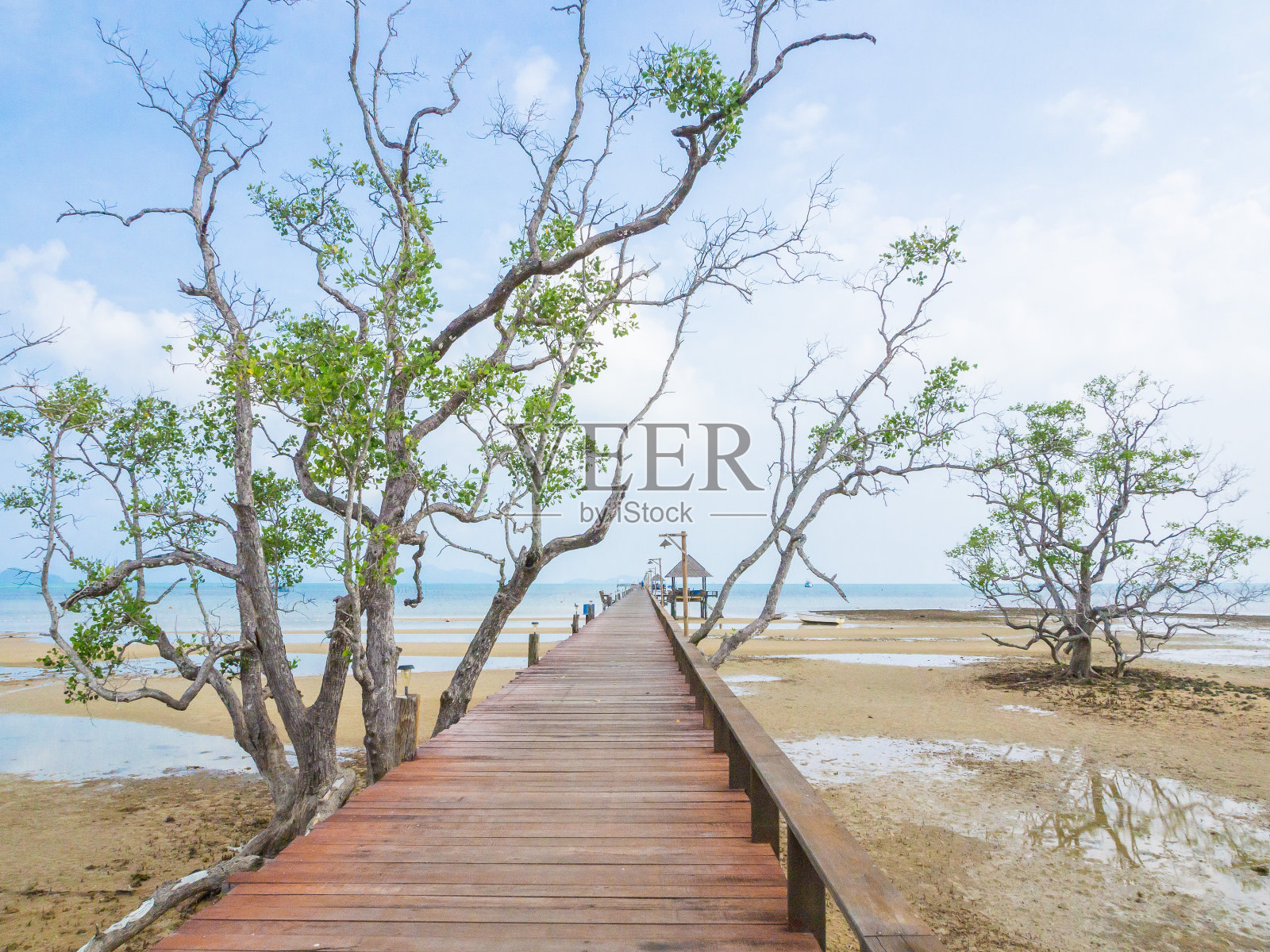 在马克岛延伸到海里的木制码头照片摄影图片