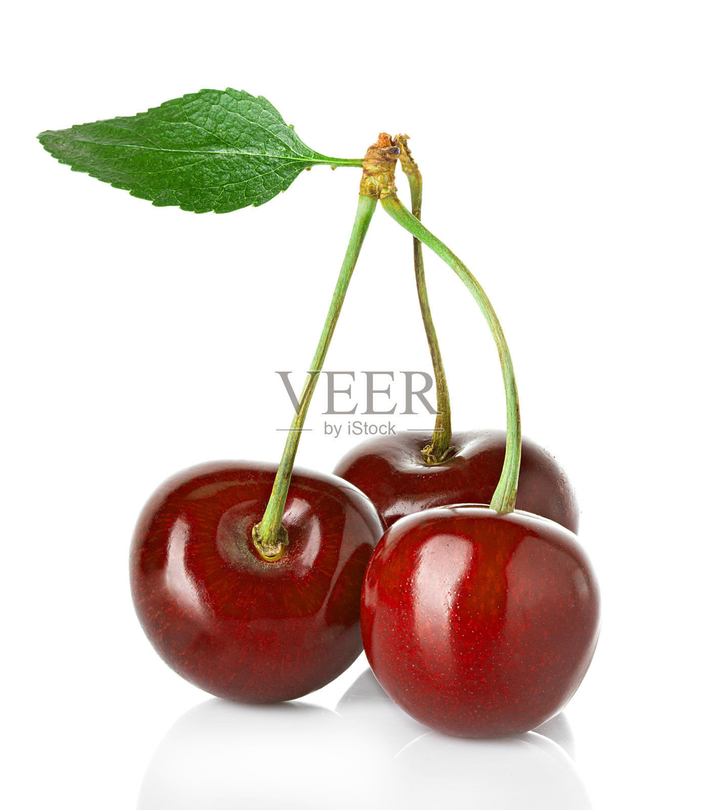 叶子孤立在白色背景上的甜樱桃。照片摄影图片