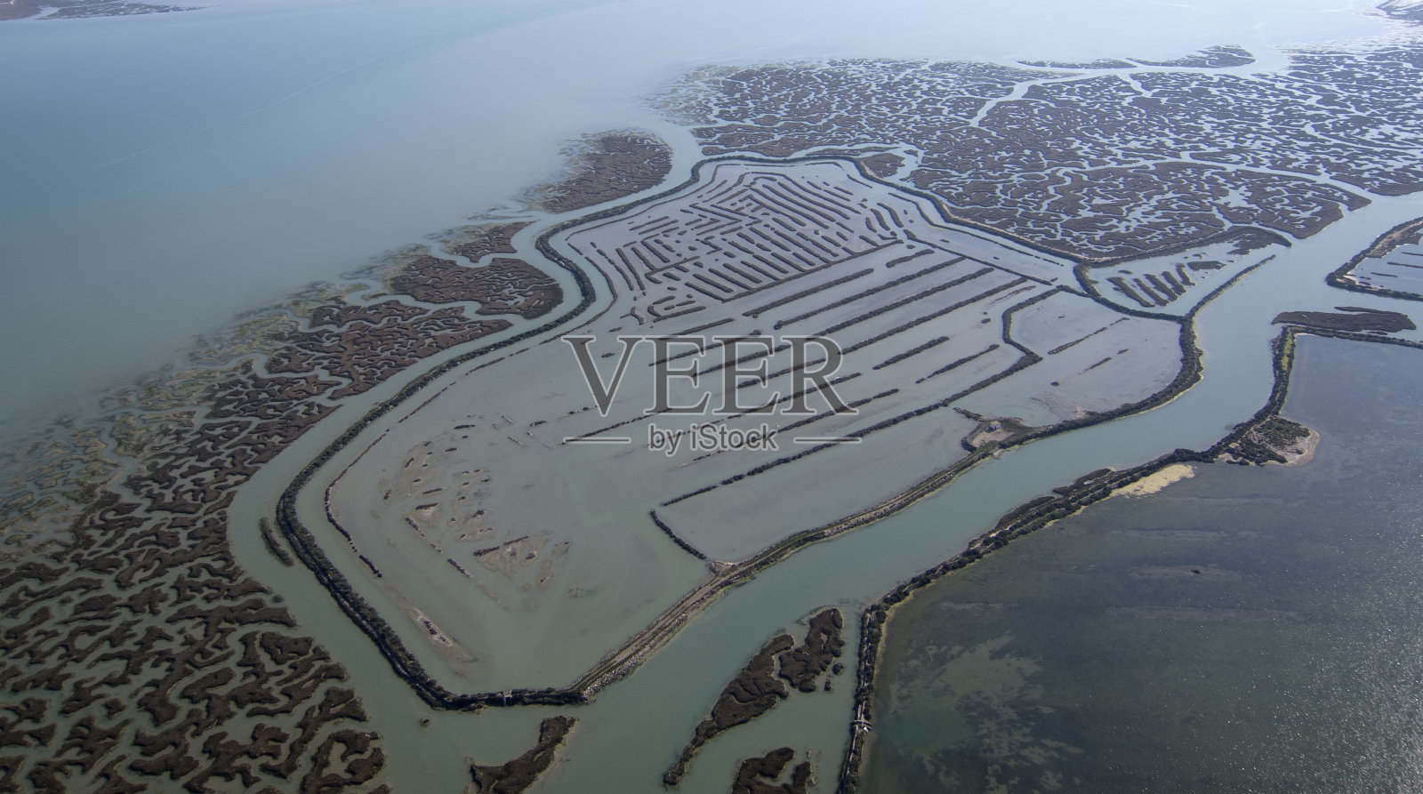 沼泽照片摄影图片