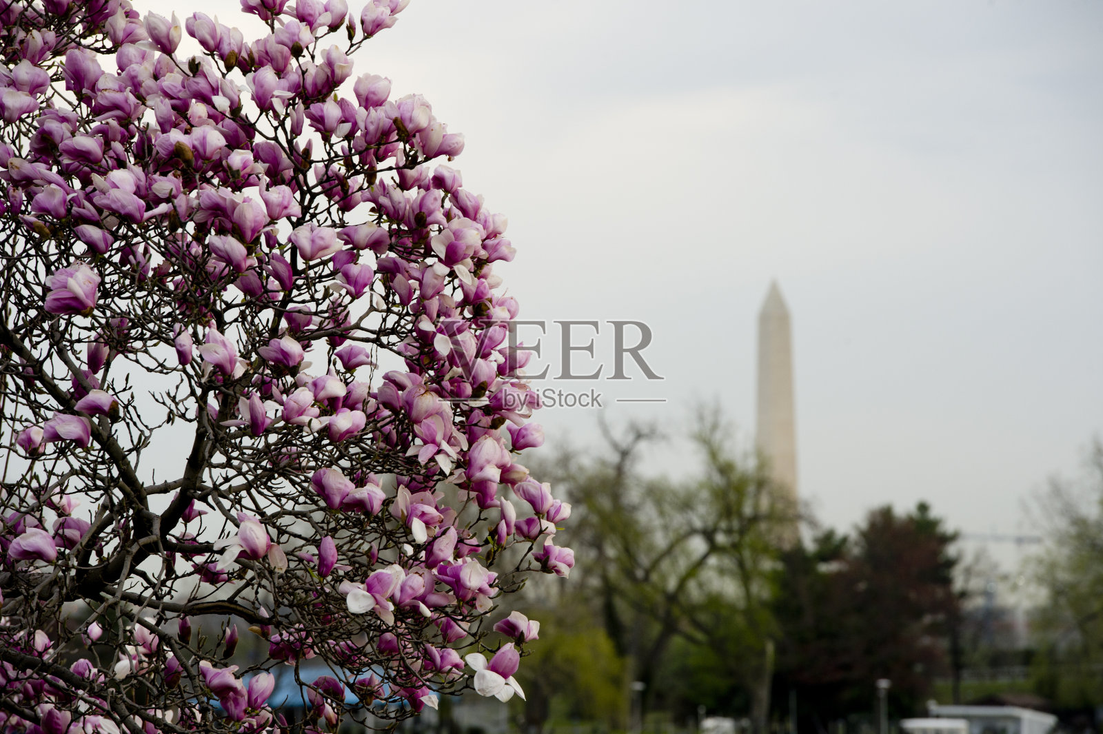 纪念碑在春天照片摄影图片