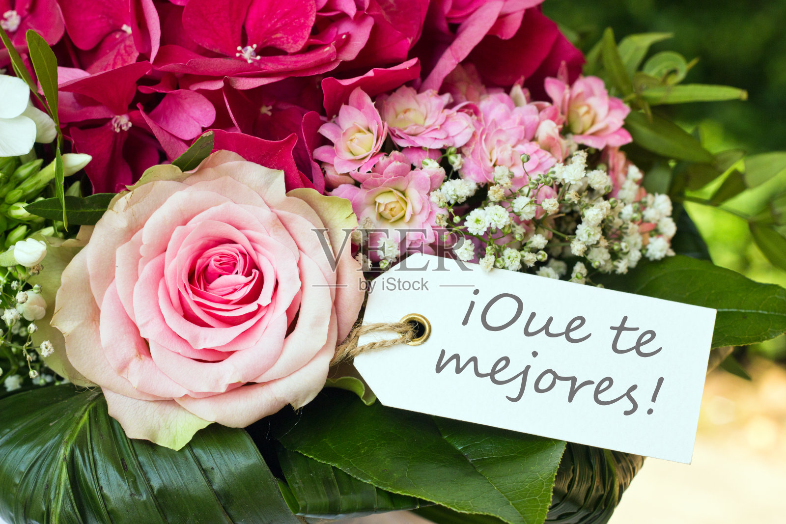 恢复健康照片摄影图片