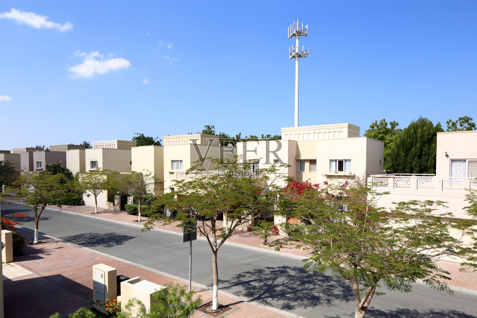 迪拜庭院的美丽景色照片摄影图片