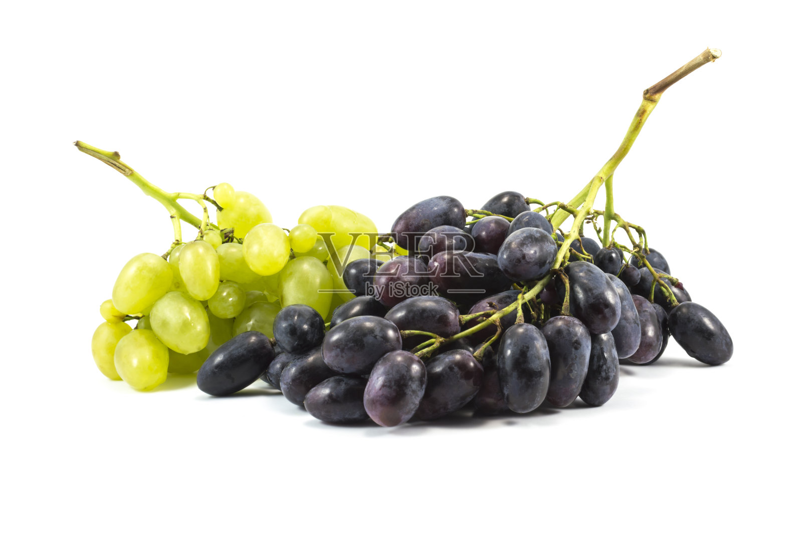 绿色和紫色葡萄的藤蔓孤立在白色之上照片摄影图片