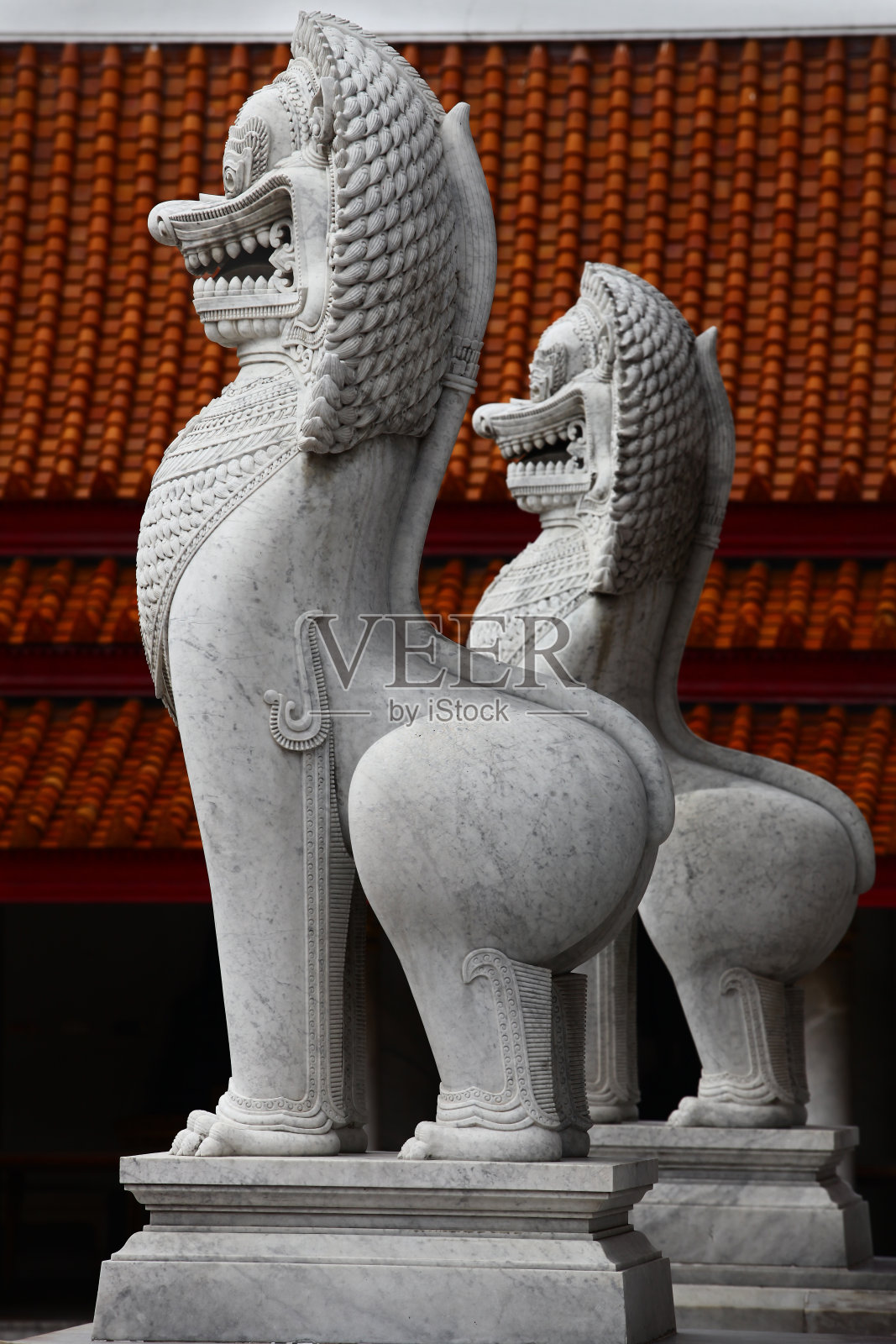 一对狮子在Wat Benchamabophit,泰国曼谷照片摄影图片