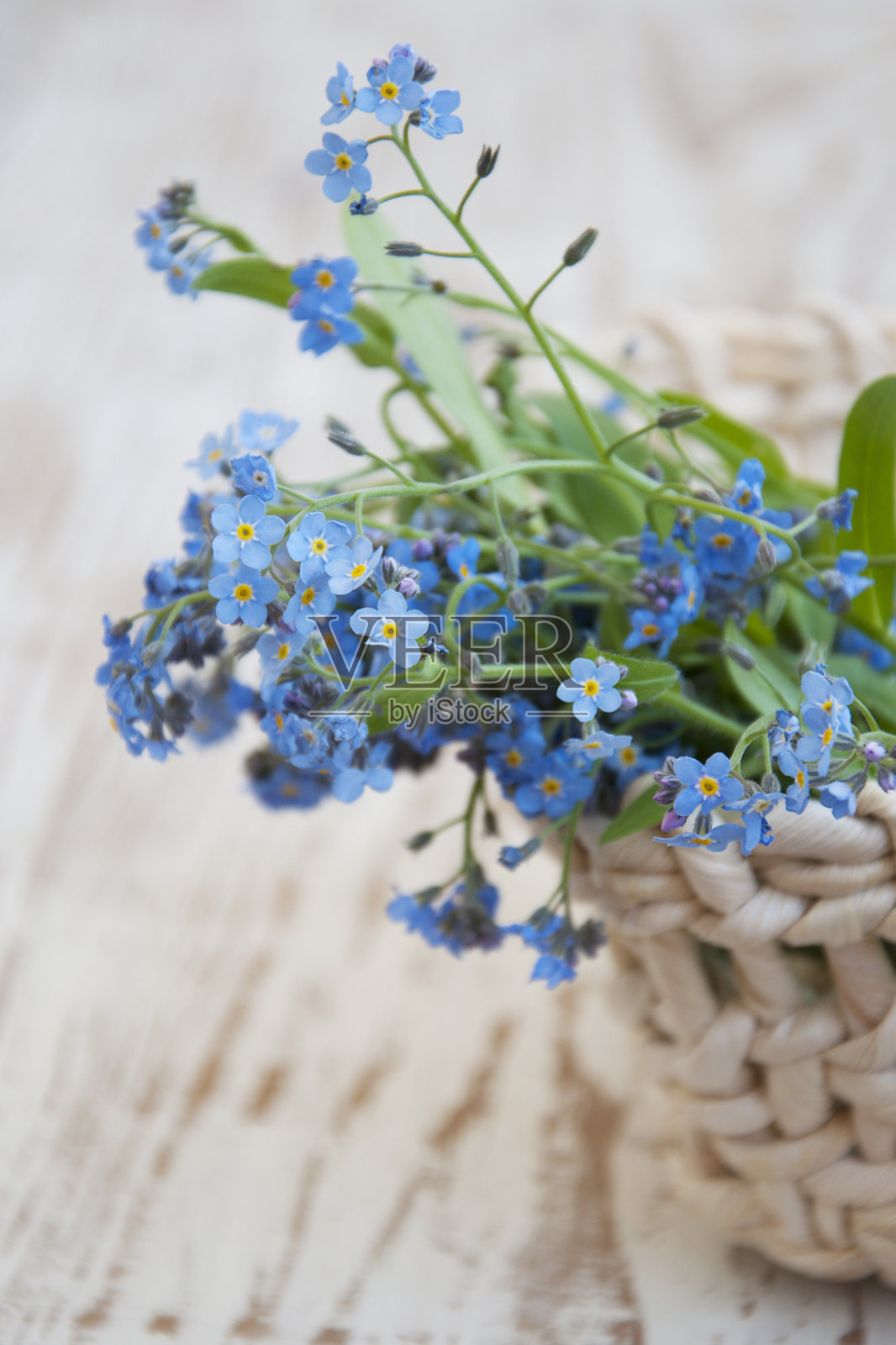 篮子里放着一束春天的鲜花照片摄影图片