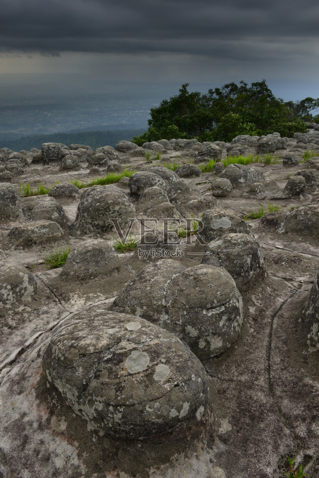 兰轩照片摄影图片