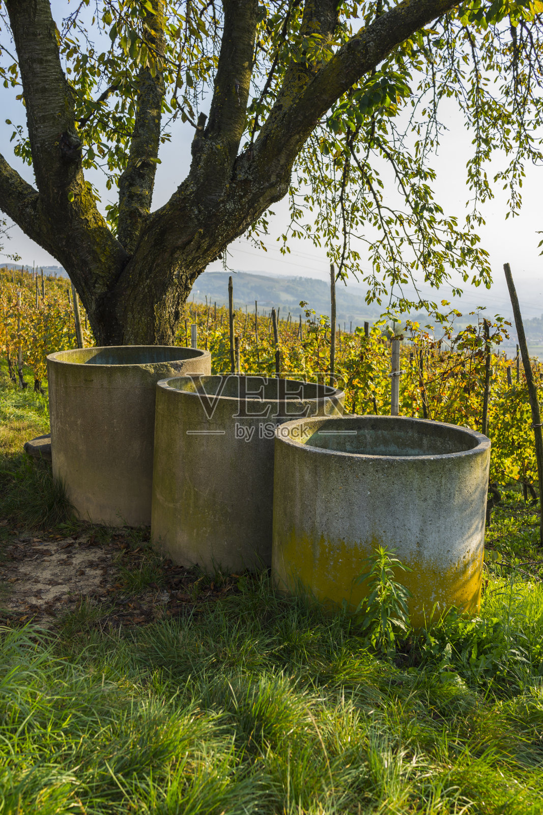 用于集水的混凝土水箱(郎河,联合国教科文组织世界遗产)照片摄影图片