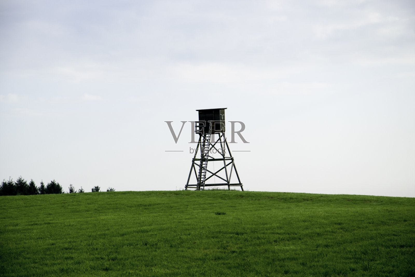 高位照片摄影图片