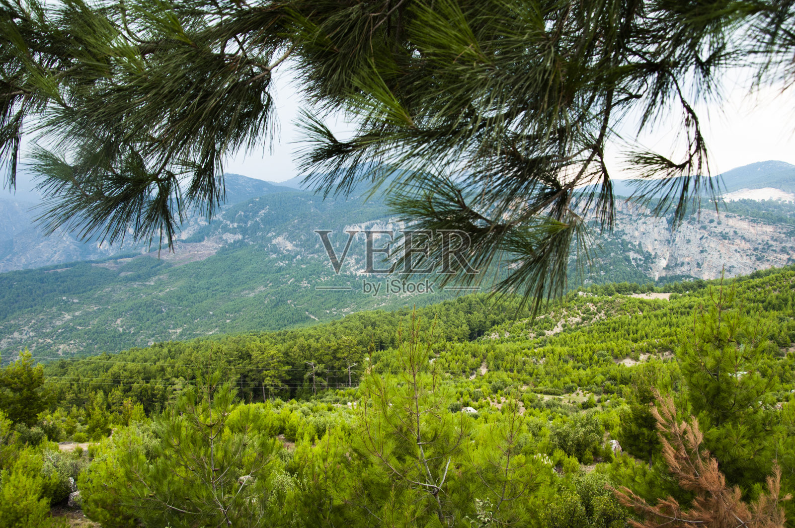 自然照片摄影图片
