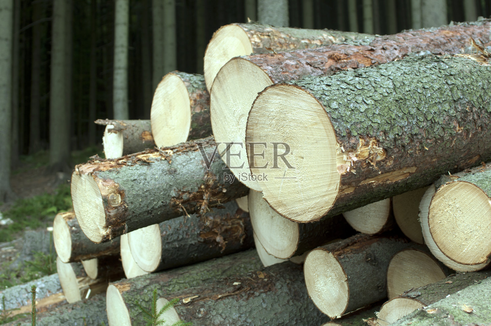 堆木头照片摄影图片