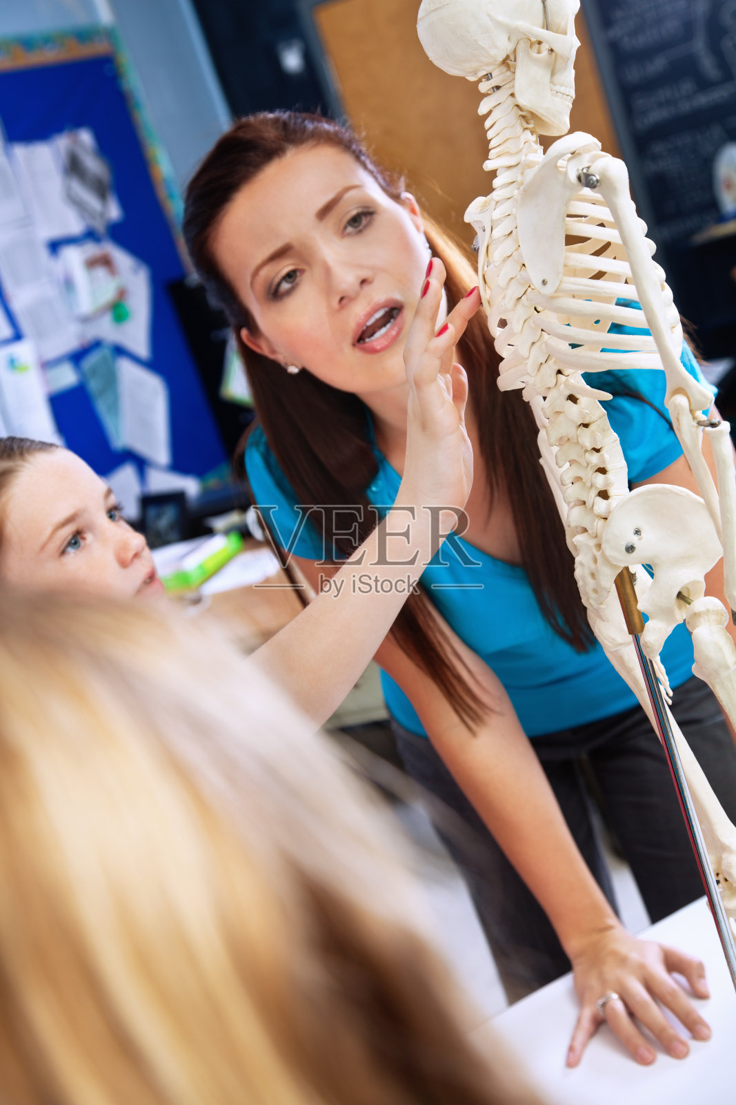 学生在科学课上指着骨骼照片摄影图片