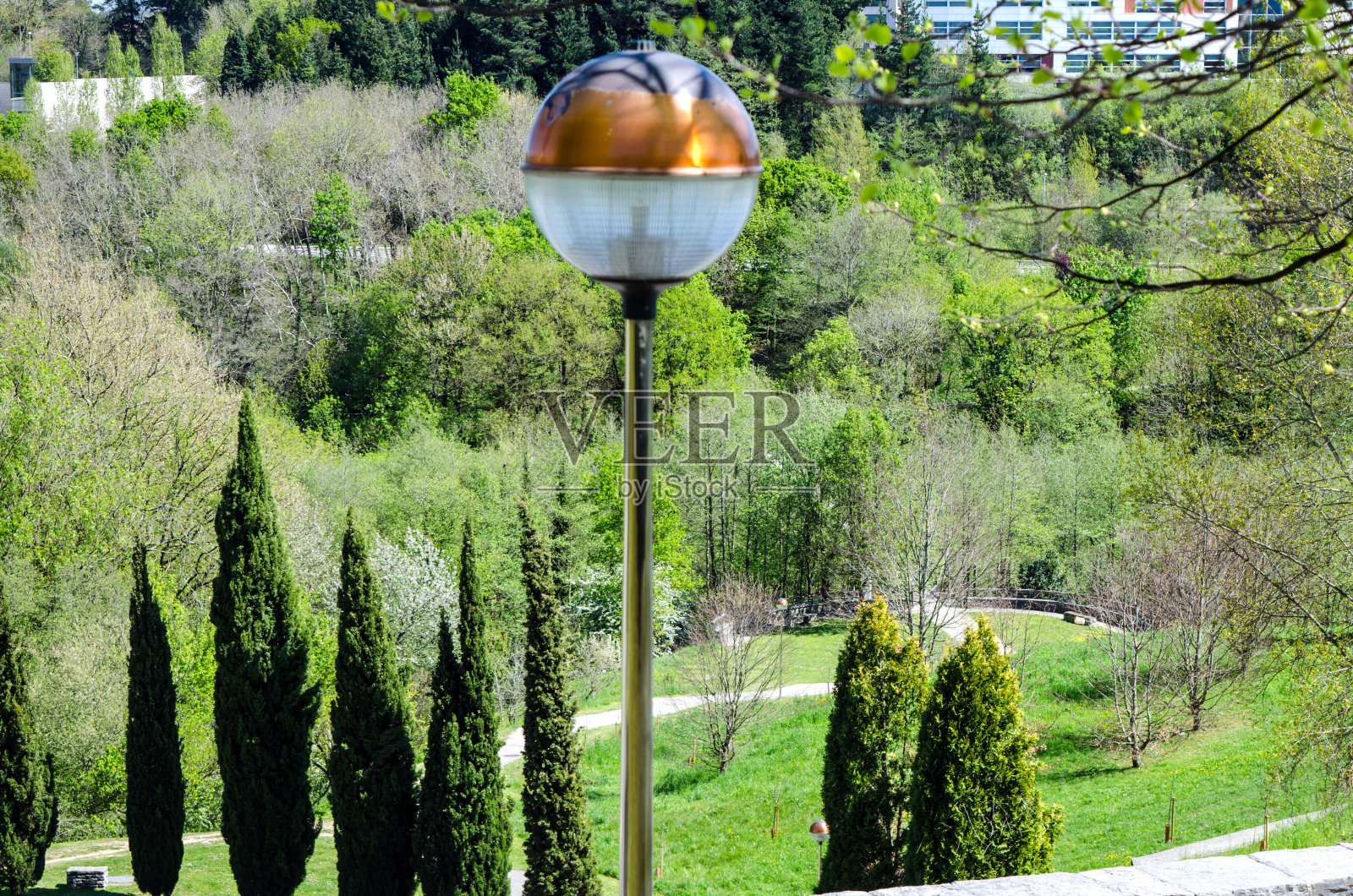 光后照片摄影图片