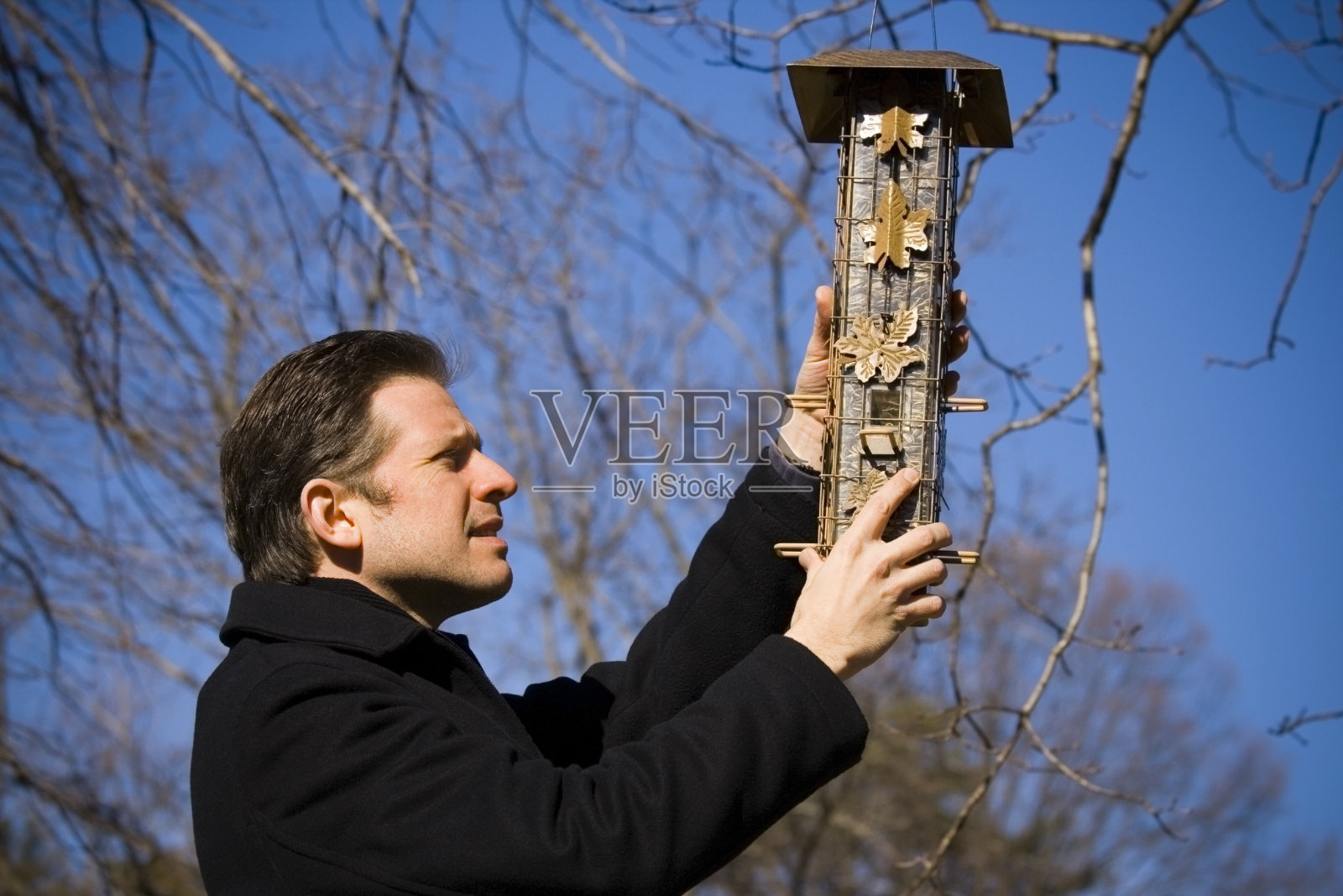 在喂鸟照片摄影图片